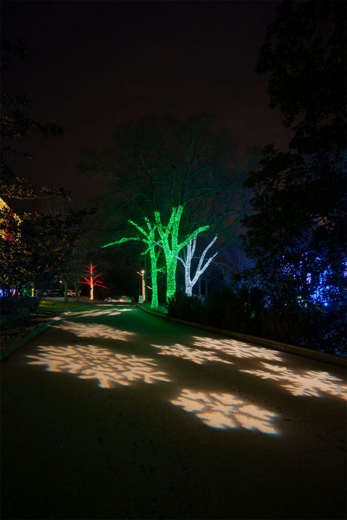 nashville-commercial-tree-wrap-lighting-and-projection-lighting
