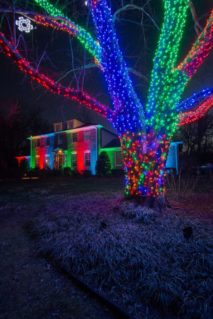brentwood-tn-color-saturation-and-tree-wrapped-holiday-lighting
