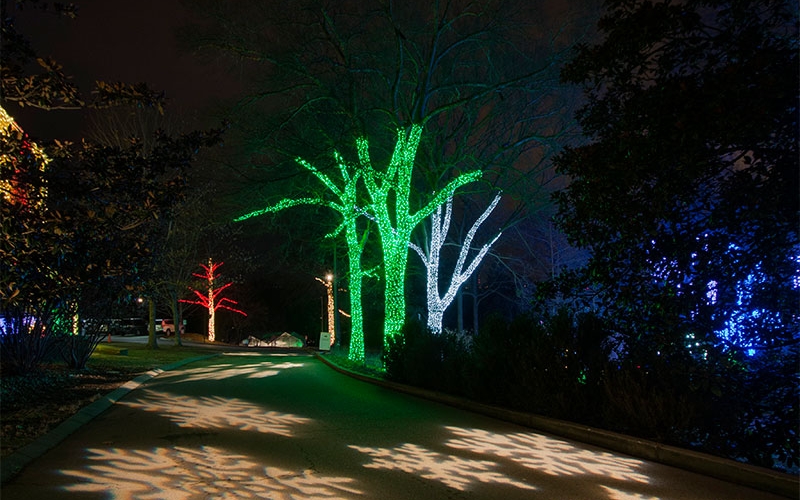 nashville-commercial-tree-wrap-lighting-and-projection-lighting