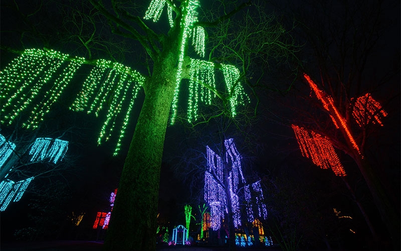 nashville-custom-commercial-holiday-tree-lighting-designs