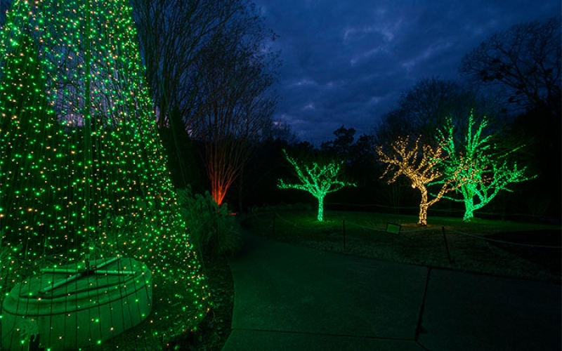 nashville-tn-commercial-holiday-tree-lighting