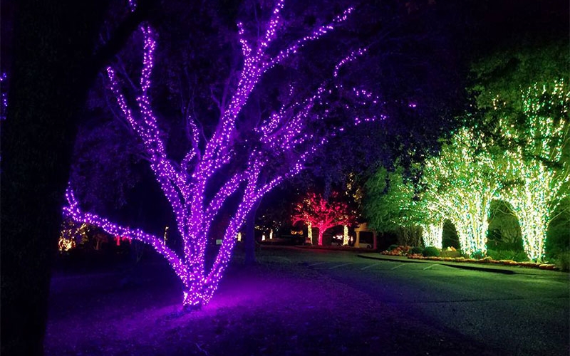 nashville-tn-commercial-holiday-tree-wrap-lighting